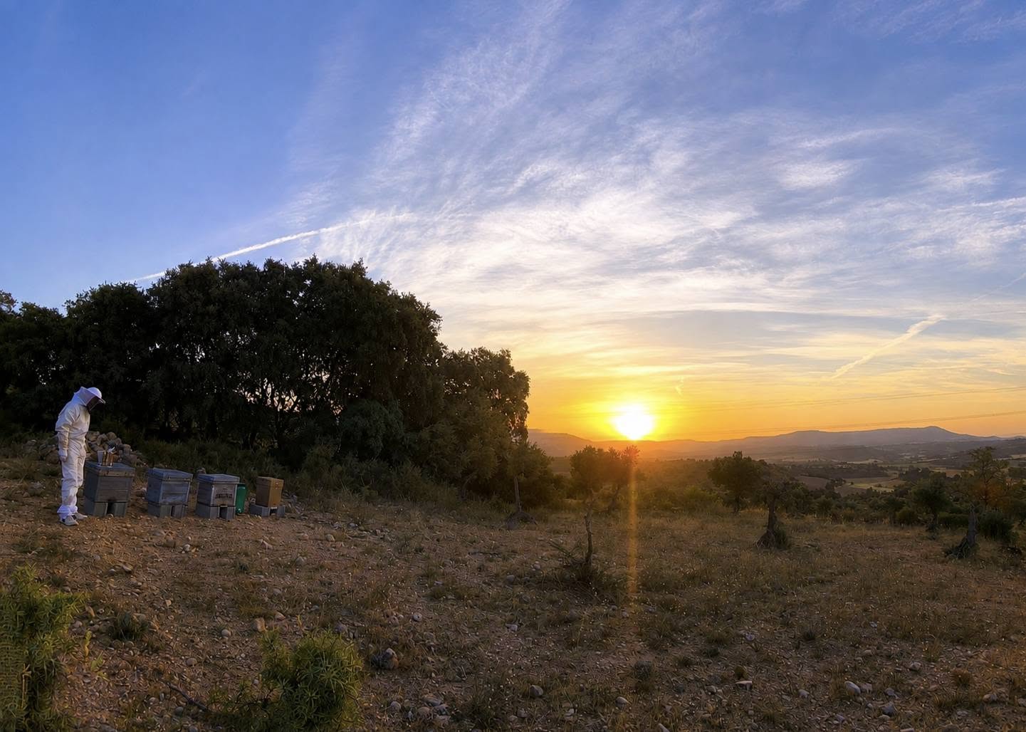 Colmenar de Salmerón al atardecer